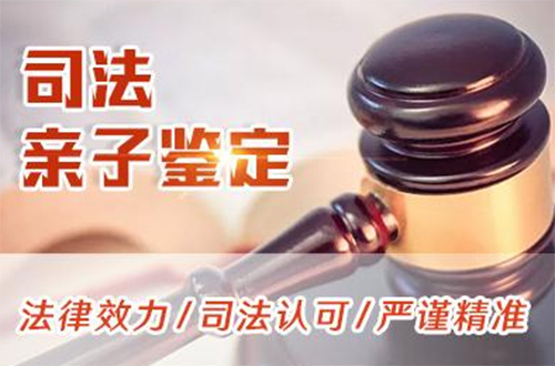 合肥司法亲子鉴定收费明细,合肥专业司法亲子鉴定中心到哪里