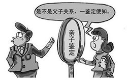 在合肥哪个医院能做DNA鉴定，合肥医院办理DNA亲子鉴定办理流程